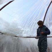 Ice Stupa volunteer Thupstan Dawa fixing up plastic on the dome roof.